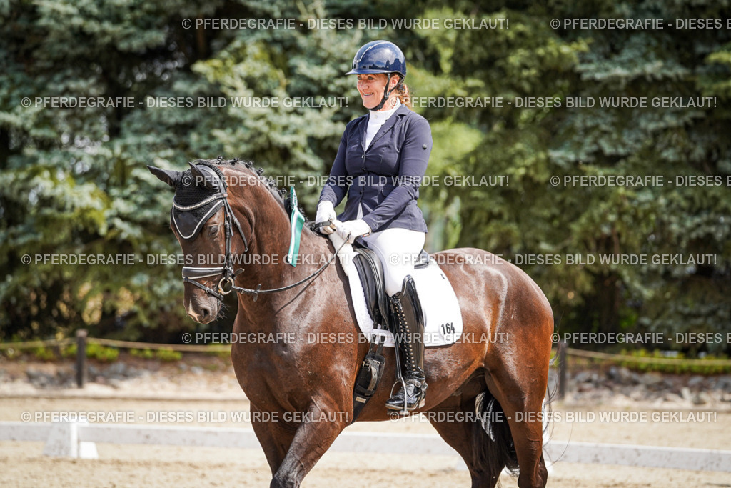 DSC09711 | Pferdegrafie