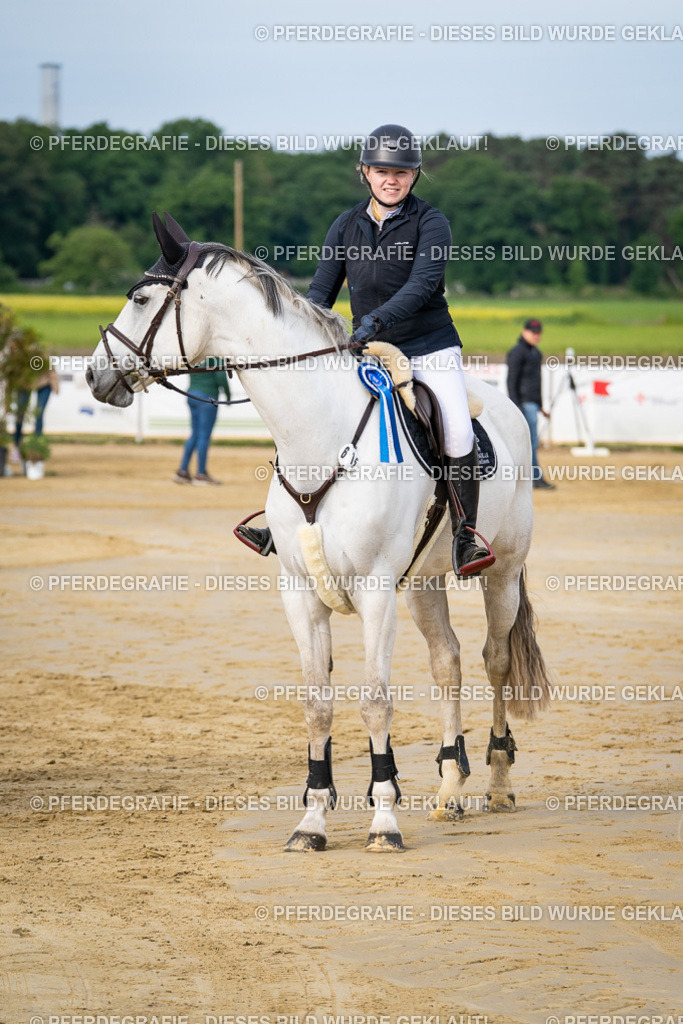 DSC03146 | Pferdegrafie