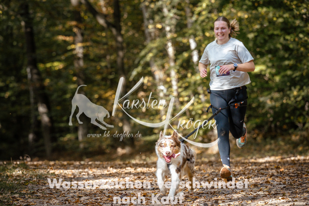 1309_ZZ97436 | kk-dogfotos