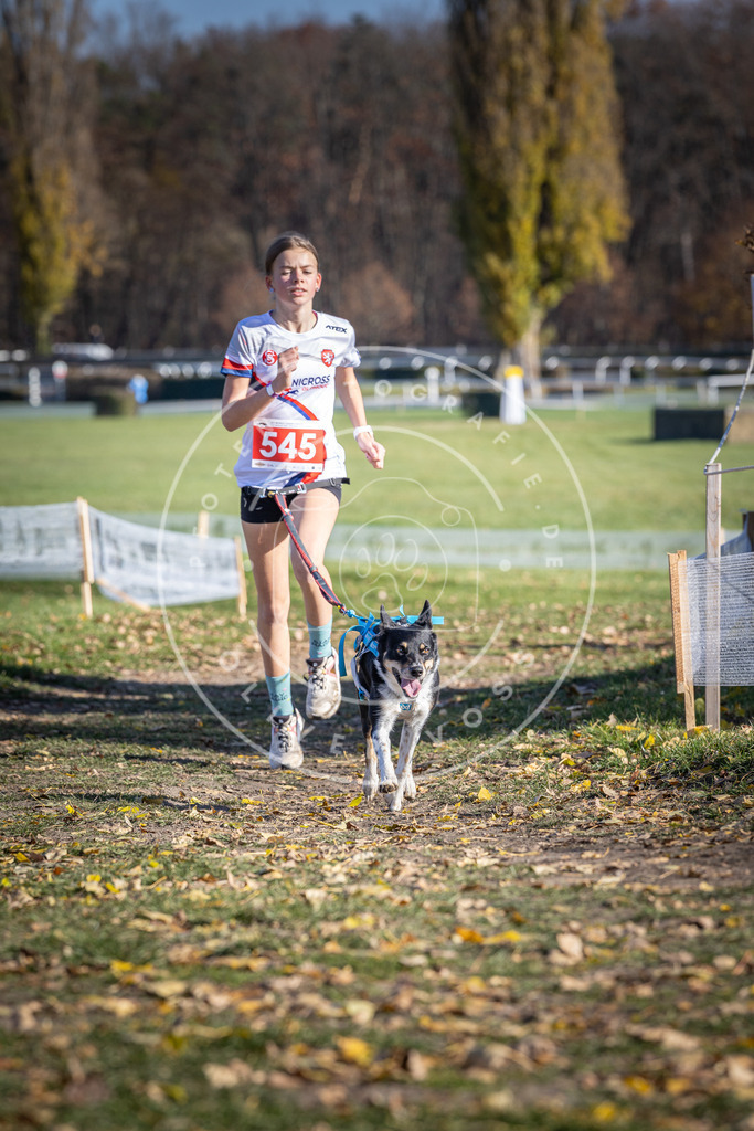 CaniXpix_DV3A8420 | Hundefotografie, Tierfotograf, Pfotenfotografie, Fotoshooting Hund, Hunde Portrait, Hundesport, Hundeportraits, Heideshooting, Hunde, Sportfotograf, Hundefotograf, Turnierhundsport, THS,  - Realisiert mit Pictrs.com