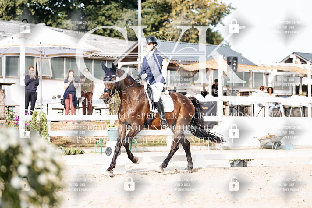 CK905081 | Turnierfotografie Pferdefotografie Trier Rheinland-Pfalz Pferdesport Reitsport Tierfotografie Sportfotografie Pferdevideo Pferdevideografie Equestrianvideography equestrianphotography  - Realisiert mit Pictrs.com