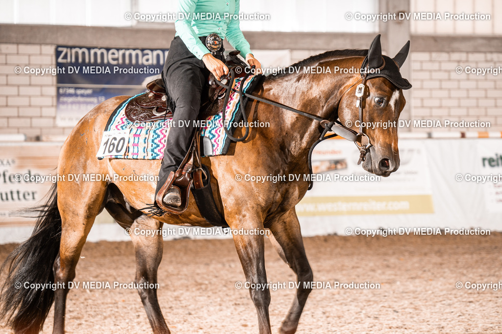 ZH100121 | dv-media-shop - Realisiert mit Pictrs.com