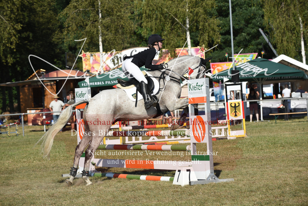 DSC_5273 | Pferde- und Turnierfotografie in Westsachsen. Pferdeportraits, Auftragszeichnungen und intuitive Kunst.