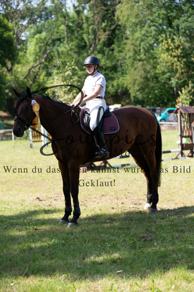 A7V06518 | Pferdefotograf