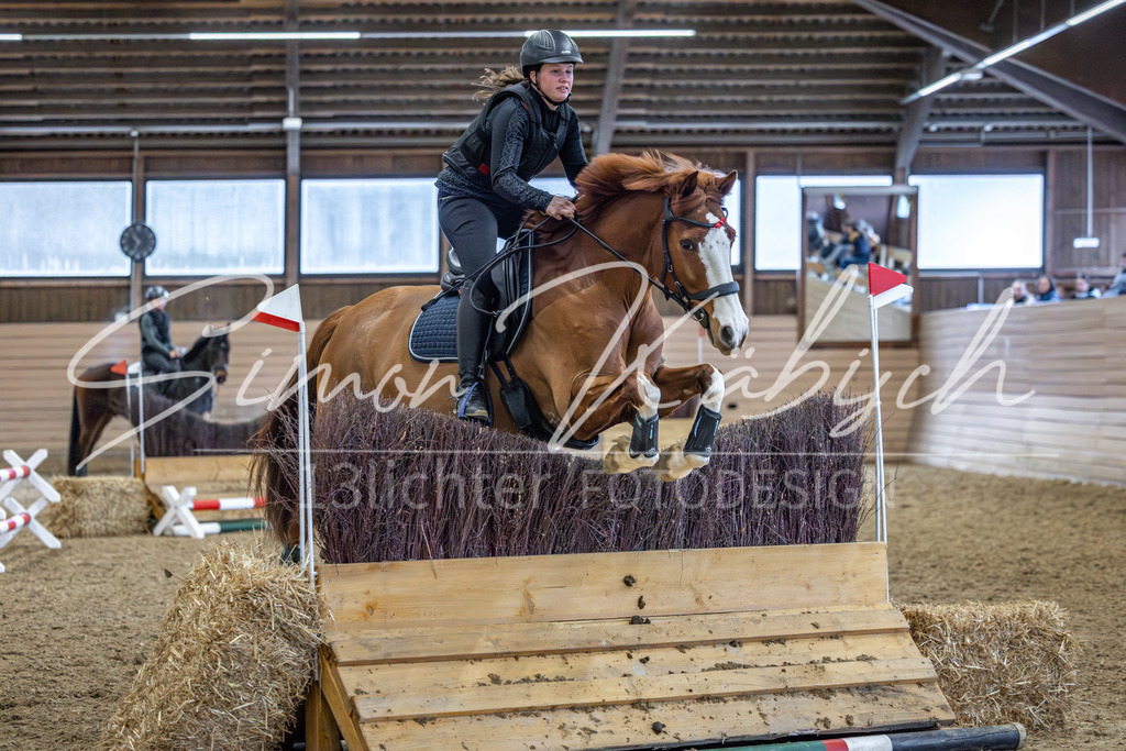 20260222-_3LI1629 | Tierfotografie Pferde, Hunde, Katzen, Haustiere.
Turnierfotografie Reitturniere, Reiten, Springreiten, Dressur in Hanau, dem Main-Kinzig-Kreis und dem Rhein-Main- Gebiet um Frankfurt