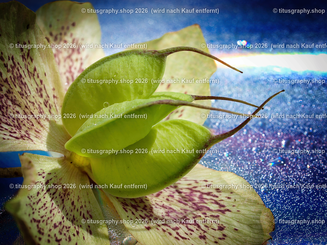 2024-04-23_036-b3_pe | Fotokunstarbeit aus der INSTAGRAM-Gallerie auf titusgraphy.eu - Realisiert mit Pictrs.com