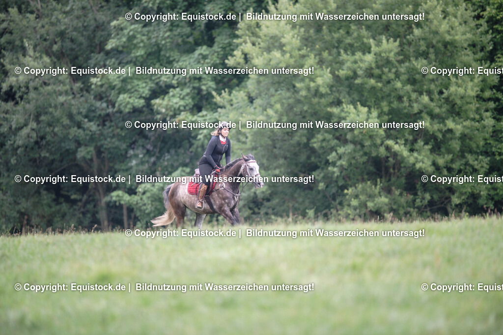 20250726_Vielseitigkeitslehrgang-Marbach_0277 | Foto: Thomas Hartig