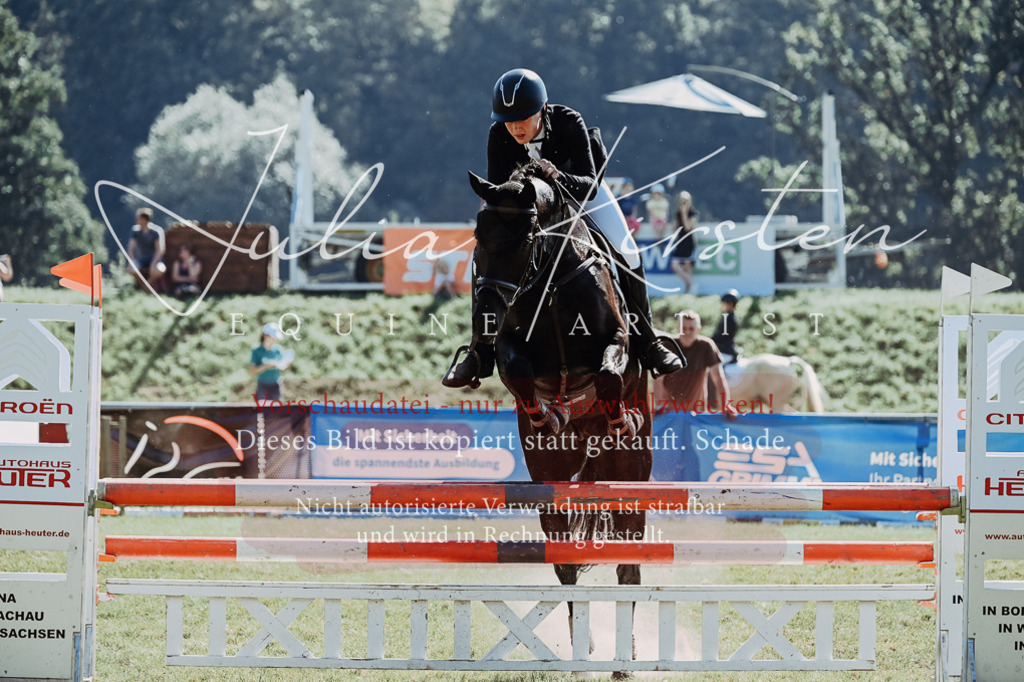 DSC_5732 | Pferde- und Turnierfotografie in Westsachsen. Pferdeportraits, Auftragszeichnungen und intuitive Kunst.
