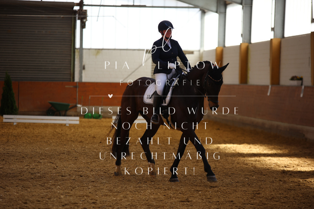 IMGT4830 | pl-fotografie