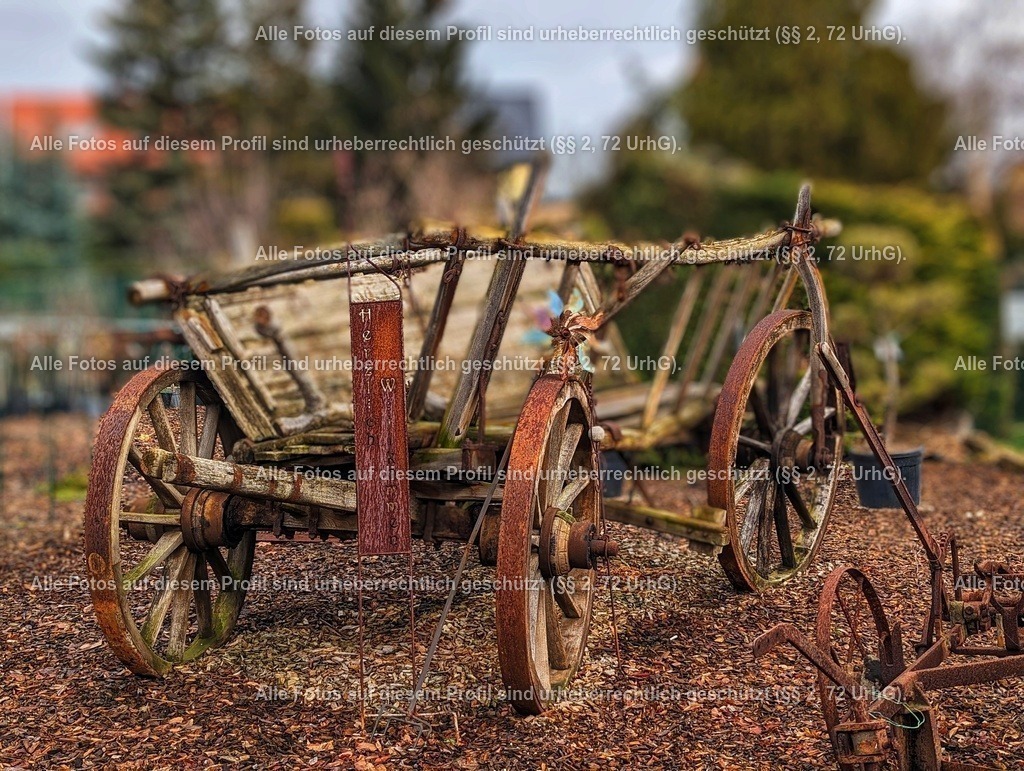 PXL_20230307_090145712.PORTRAIT_2-01 | krollfotografie - Realisiert mit Pictrs.com