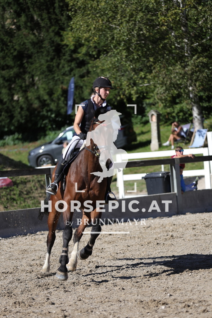 0P6A7277 | Willkommen bei Brunnmayr - Design & Fotografie – Ihrem Spezialisten für Reitturniere und Pferdeveranstaltungen in Oberösterreich, Salzburg und Bayern! Seit über 17 Jahren sind wir leidenschaftlich dabei.