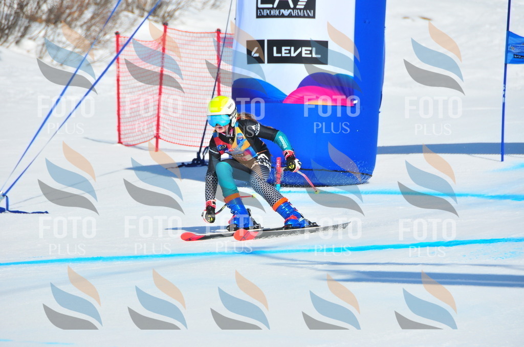 DSC_4470 | holidayphoto