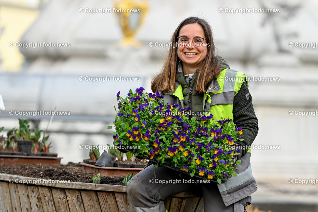 Blumen pflanzen_ Hauptplatz Linz_ 21.03.2023-3 | 21.03.2023, Hauptplatz Linz, AUT, Stadtgaerten, Blumen pflanzen im Bild Kerstin Schibani (Mitarbeiterin in der Stadtgaertnerei, Magistrat Linz) beim Blumen pflanzen am Hauptplatz Linz