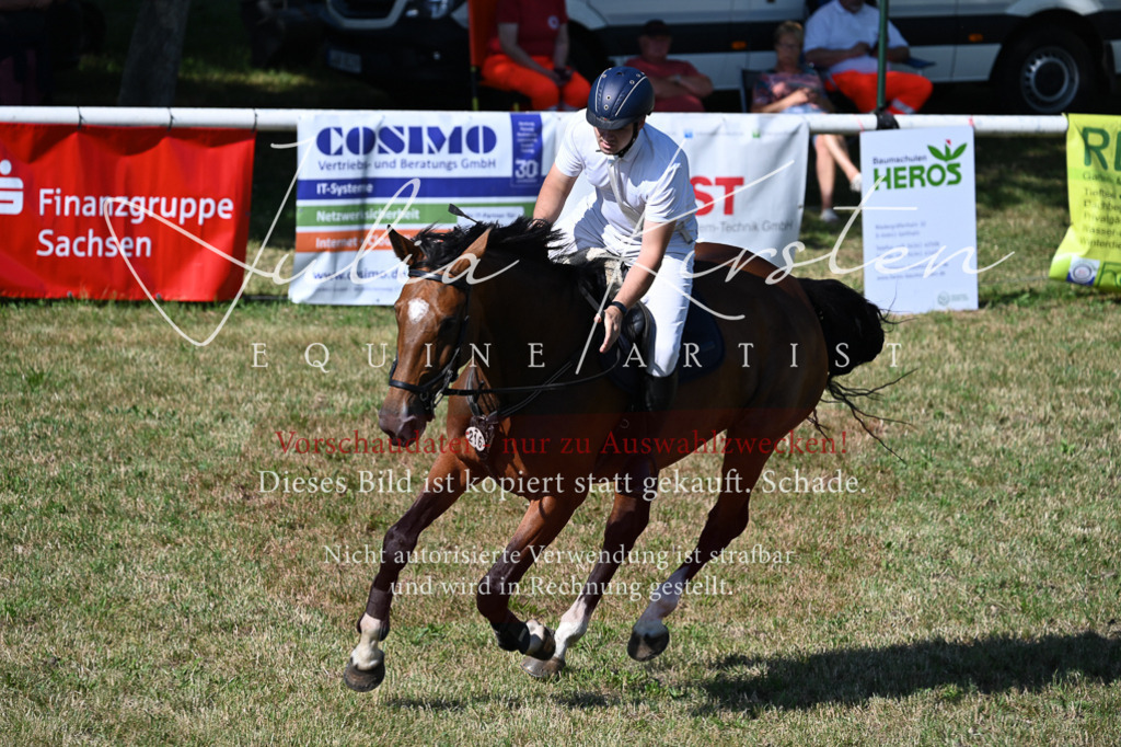 DSC_2187 | Pferde- und Turnierfotografie in Westsachsen. Pferdeportraits, Auftragszeichnungen und intuitive Kunst.