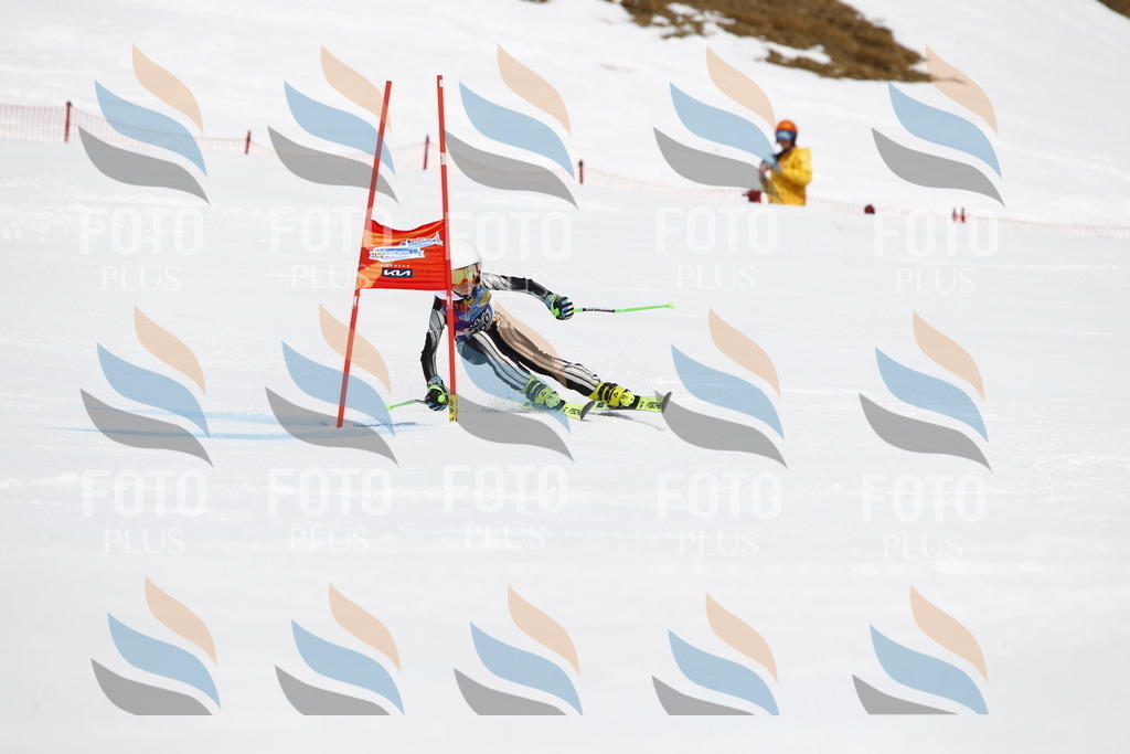 _U3G6311 | holidayphoto