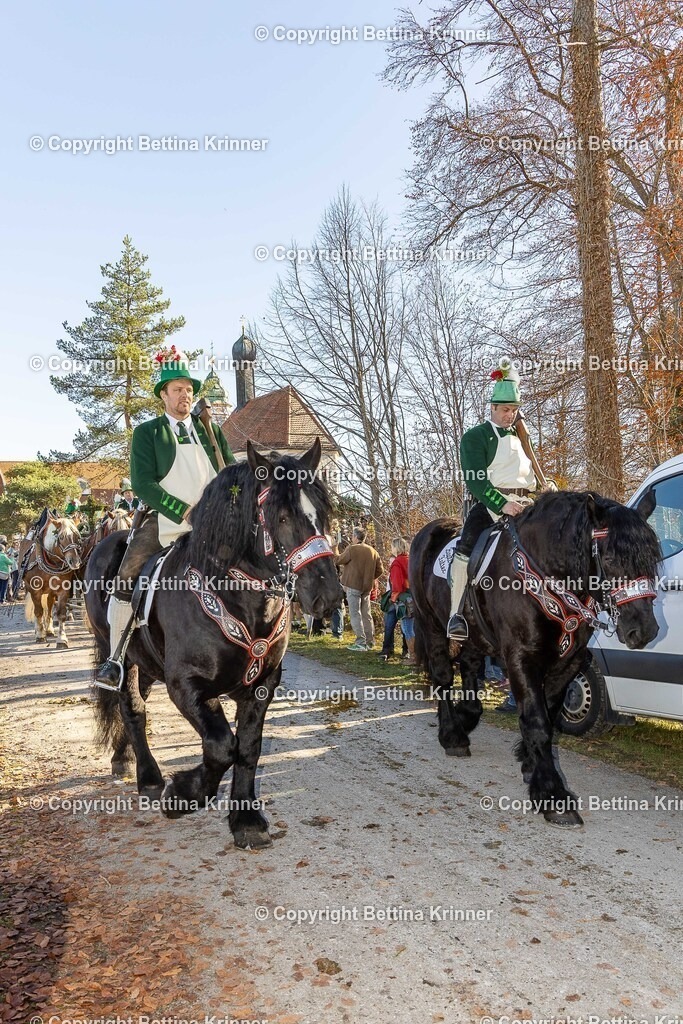 LBT25-1072 | foto-bettina-krinner - Realisiert mit Pictrs.com