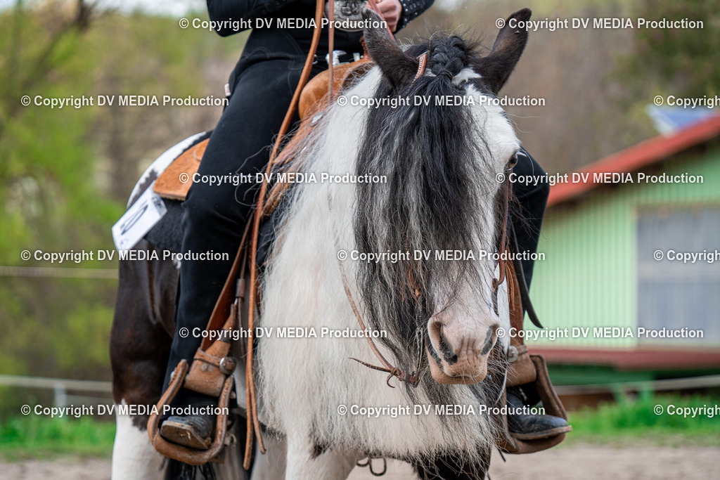 BAL02593 | dv-media-shop - Realisiert mit Pictrs.com