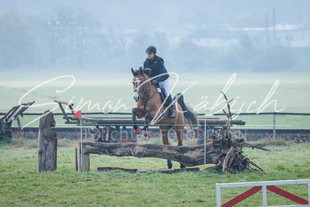 20260329-_3LI3508 | Tierfotografie Pferde, Hunde, Katzen, Haustiere.
Turnierfotografie Reitturniere, Reiten, Springreiten, Dressur in Hanau, dem Main-Kinzig-Kreis und dem Rhein-Main- Gebiet um Frankfurt