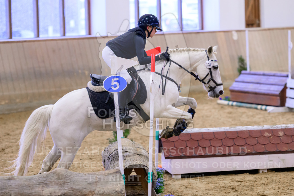 29032026-Schwaiganger-Prfg01-238 | Fokus Hufschlag Fotografie - Realisiert mit Pictrs.com