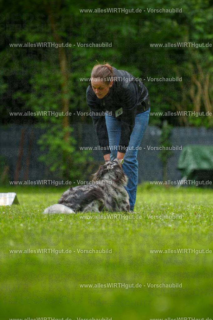 @allesWIRTHgut_Tierfotografie - www.allesWIRTHgut.de - 7R500322 | Professionelle Tierfotografie in Mönchengladbach von Daniel Wirth (allesWIRTHgut). Liebevolle & natürliche Bilder von Hunden & Katzen für unvergessliche Erinnerungen.
