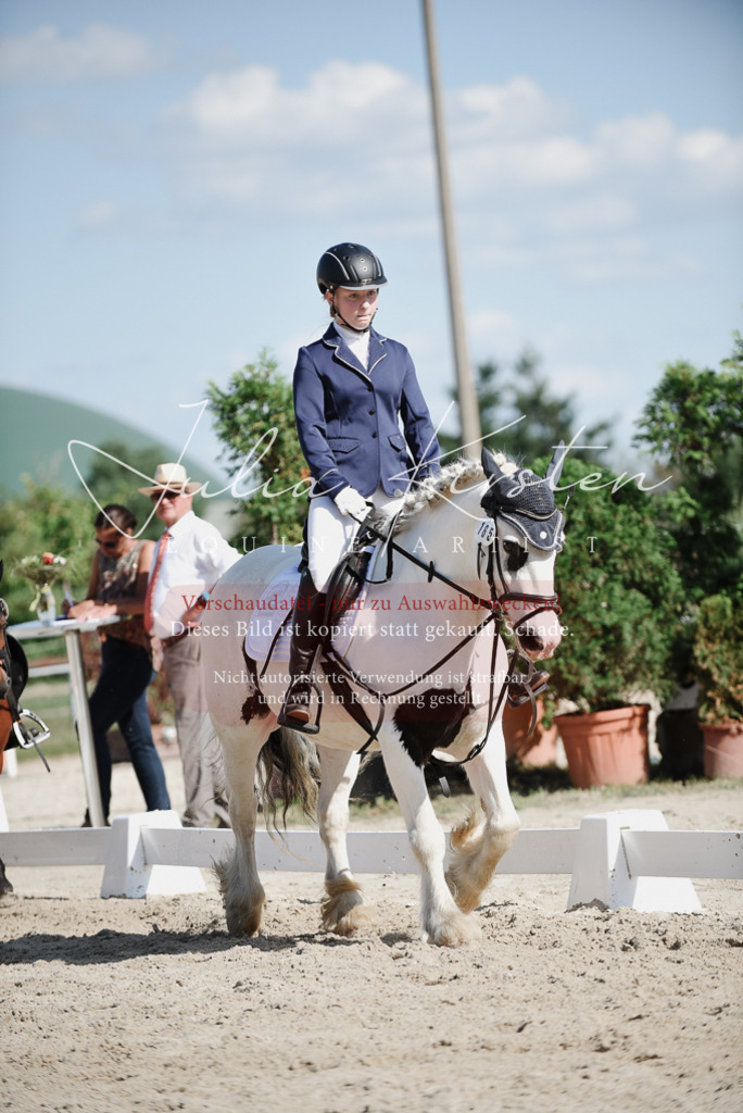 DSC_0061 | Pferde- und Turnierfotografie in Westsachsen. Pferdeportraits, Auftragszeichnungen und intuitive Kunst.