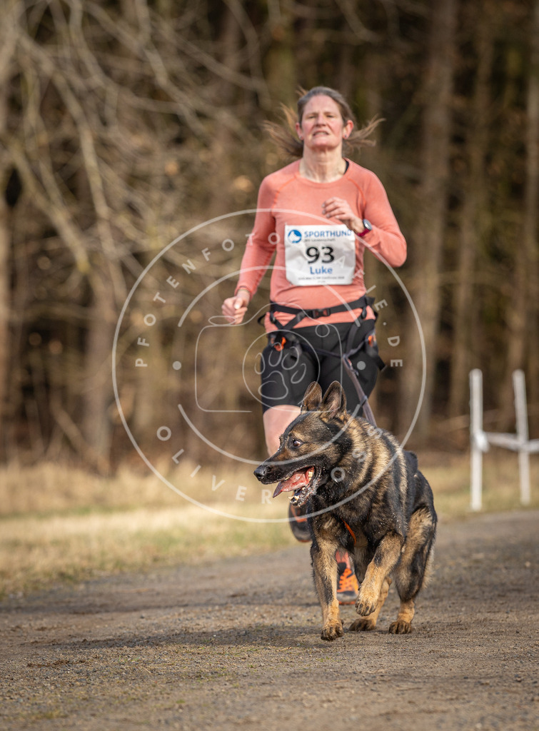 DV3A3990 | Hundefotografie, Tierfotograf, Pfotenfotografie, Fotoshooting Hund, Hunde Portrait, Hundesport, Hundeportraits, Heideshooting, Hunde, Sportfotograf, Hundefotograf, Turnierhundsport, THS,  - Realisiert mit Pictrs.com