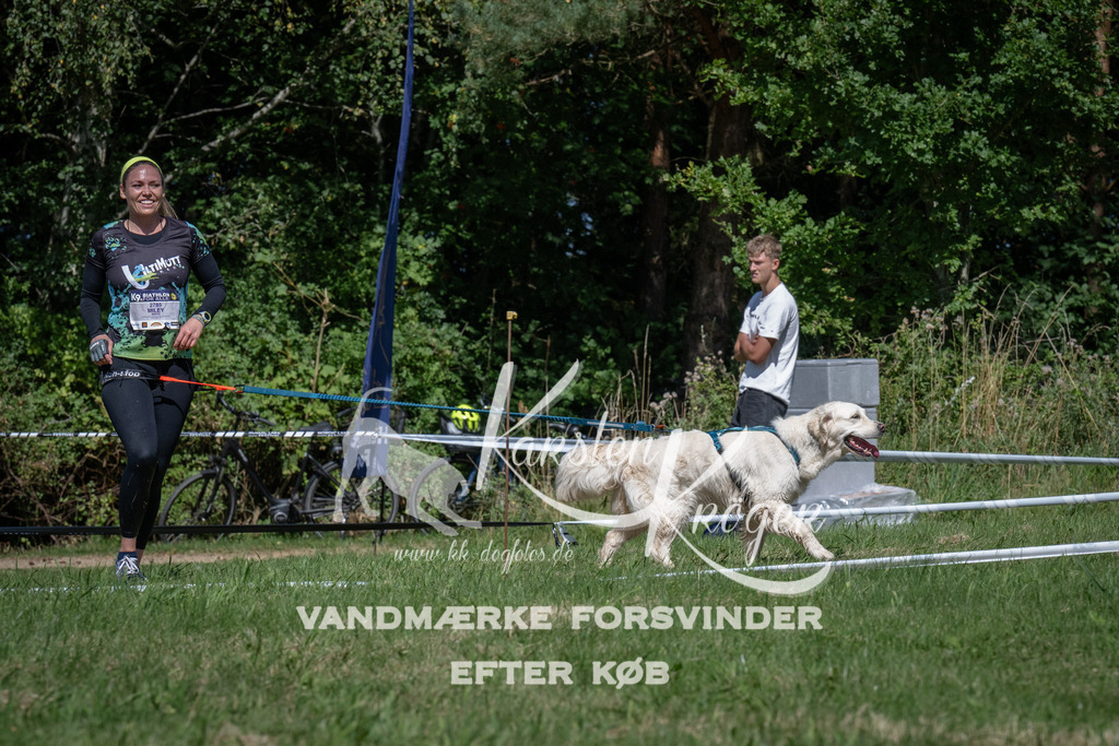 1204_ZZ93805 | kk-dogfotos