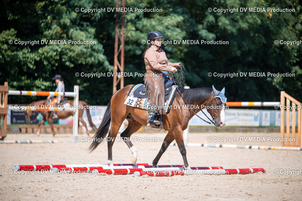 ZS1_1584 | dv-media-shop - Realisiert mit Pictrs.com