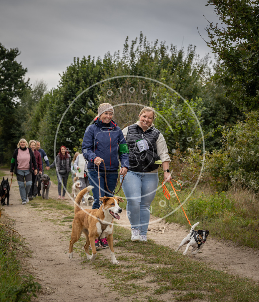 Pfotenfotografie_DV3A7646 | Hundefotografie, Tierfotograf, Pfotenfotografie, Fotoshooting Hund, Hunde Portrait, Hundesport, Hundeportraits, Heideshooting, Hunde, Sportfotograf, Hundefotograf, Turnierhundsport, THS,  - Realisiert mit Pictrs.com