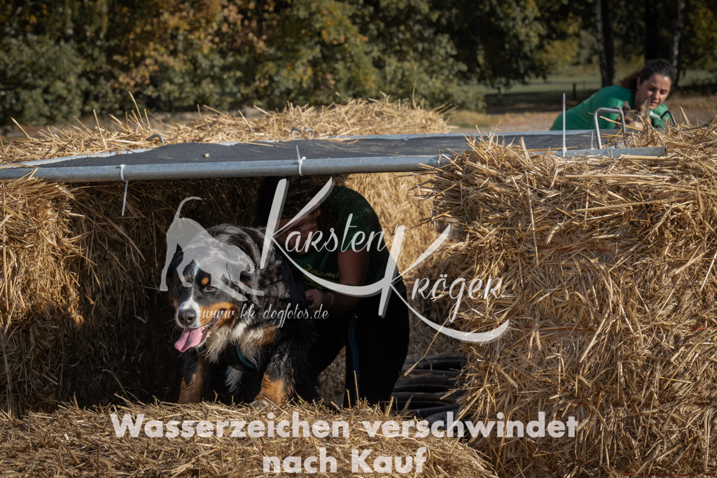 1055_ZZ99603 | kk-dogfotos