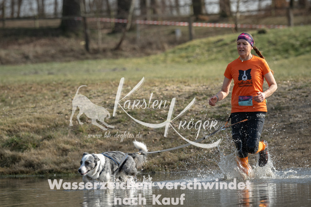 1312_ZZ95154 | kk-dogfotos