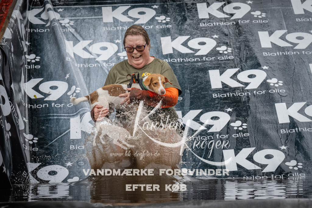 1106_ZZ91705 | kk-dogfotos