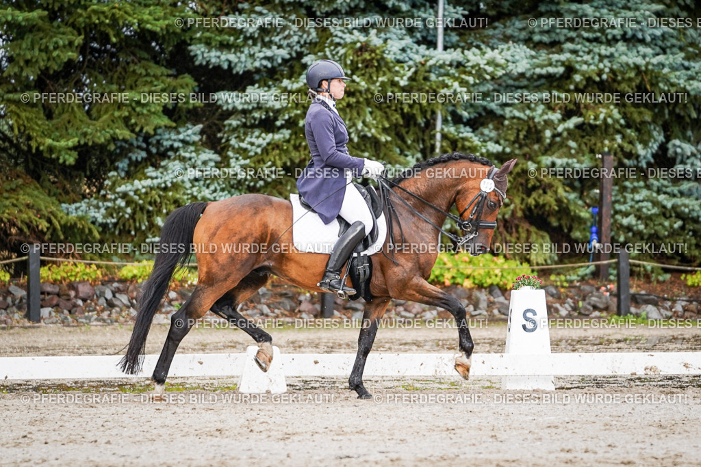 DSC00185 | Pferdegrafie