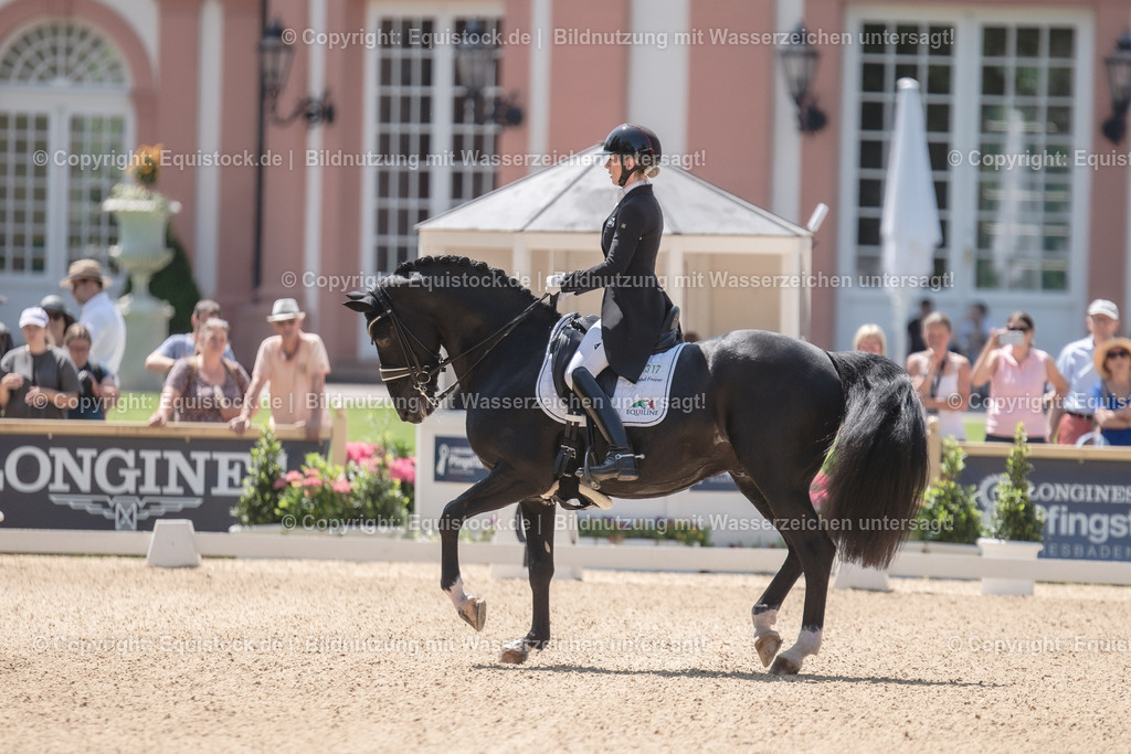 20230528_03_GP-Special-Tour_0266 | equistock