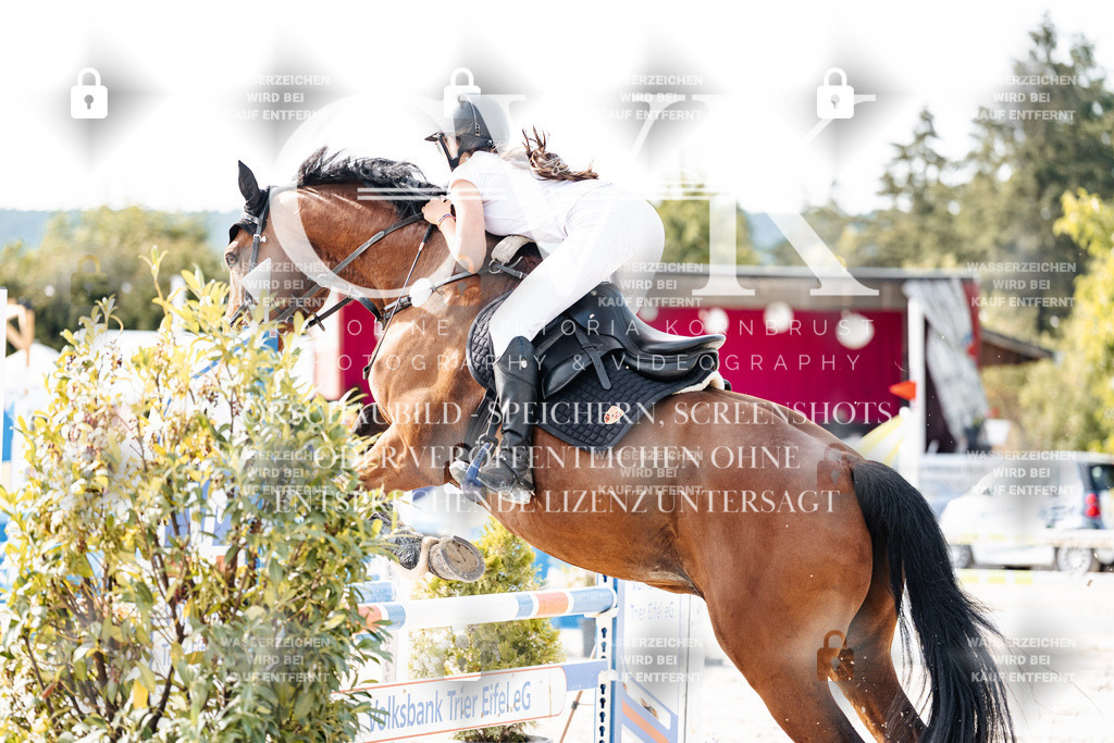CK905895 | Turnierfotografie Pferdefotografie Trier Rheinland-Pfalz Pferdesport Reitsport Tierfotografie Sportfotografie Pferdevideo Pferdevideografie Equestrianvideography equestrianphotography  - Realisiert mit Pictrs.com