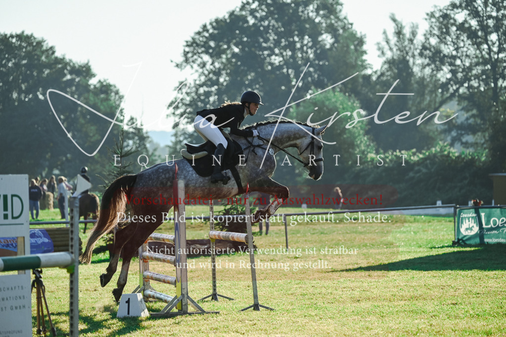 DSC_4141 | Pferde- und Turnierfotografie in Westsachsen. Pferdeportraits, Auftragszeichnungen und intuitive Kunst.