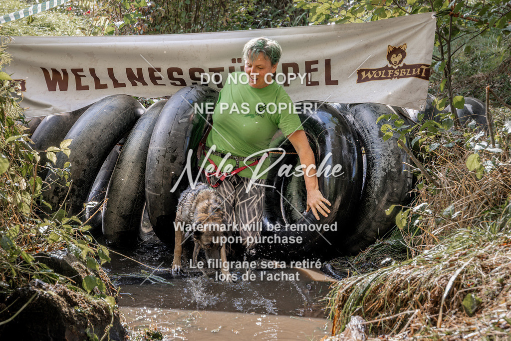 nelerasche_Hunsrück2026_Sa1400-1500_40 | nelerasche