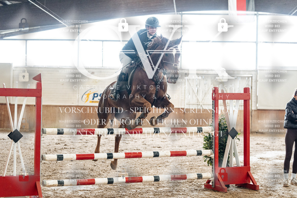 CK906171 | Turnierfotografie Pferdefotografie Trier Rheinland-Pfalz Pferdesport Reitsport Tierfotografie Sportfotografie Pferdevideo Pferdevideografie Equestrianvideography equestrianphotography  - Realized with Pictrs.com