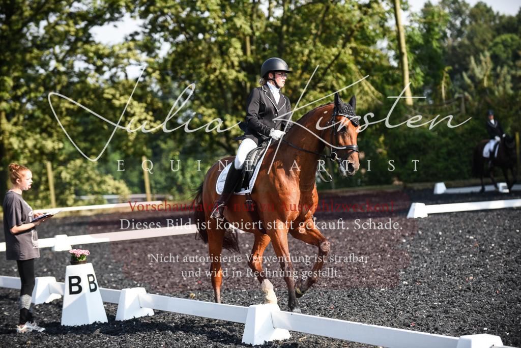 DSC_3163 | Pferde- und Turnierfotografie in Westsachsen. Pferdeportraits, Auftragszeichnungen und intuitive Kunst.