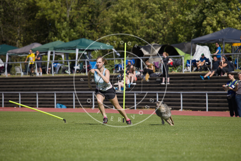 0L8A6902 | Hundefotografie, Tierfotograf, Pfotenfotografie, Fotoshooting Hund, Hunde Portrait, Hundesport, Hundeportraits, Heideshooting, Hunde, Sportfotograf, Hundefotograf, Turnierhundsport, THS,  - Realisiert mit Pictrs.com