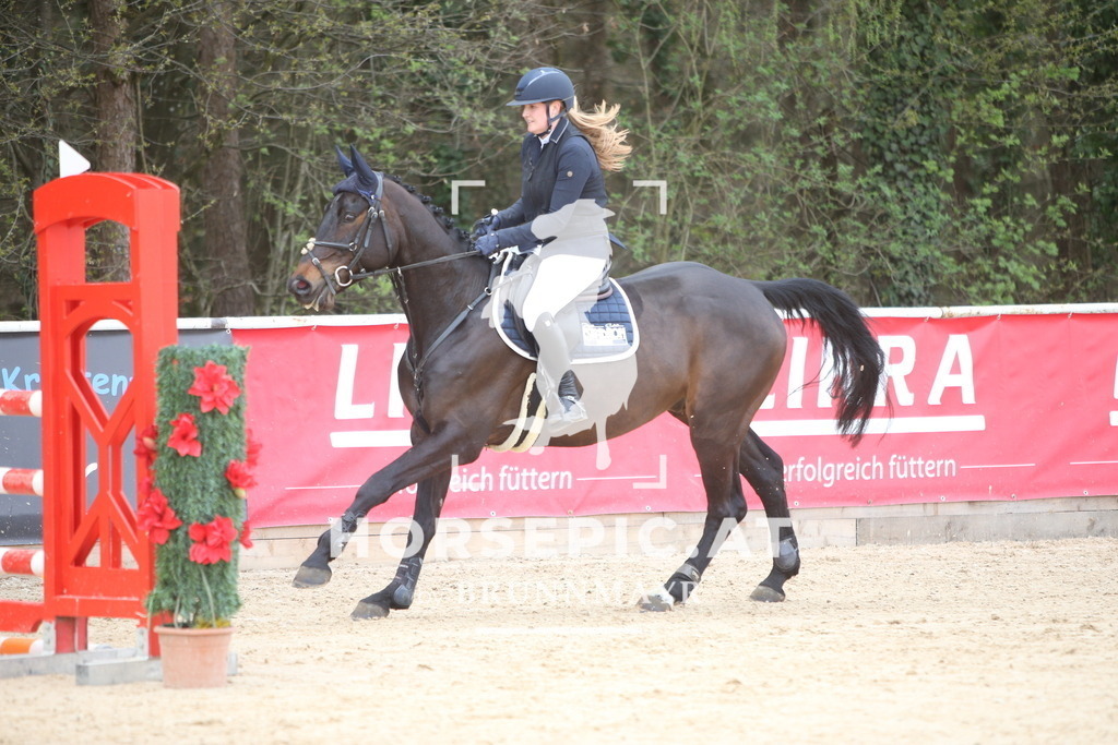 PP017554 | Willkommen bei Brunnmayr - Design & Fotografie – Ihrem Spezialisten für Reitturniere und Pferdeveranstaltungen in Oberösterreich, Salzburg und Bayern! Seit über 17 Jahren sind wir leidenschaftlich dabei.