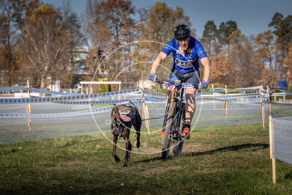 CaniXpix_0L8A6021 | Hundefotografie, Tierfotograf, Pfotenfotografie, Fotoshooting Hund, Hunde Portrait, Hundesport, Hundeportraits, Heideshooting, Hunde, Sportfotograf, Hundefotograf, Turnierhundsport, THS,  - Realisiert mit Pictrs.com