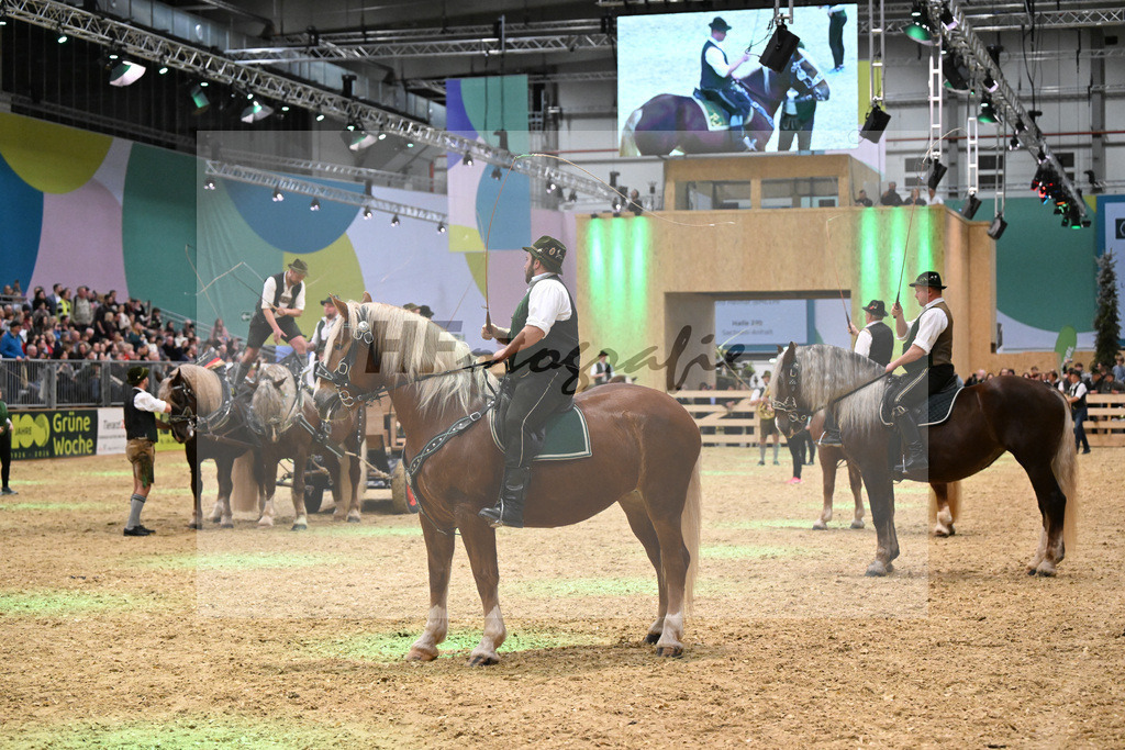 Schauprogramm_Goassl Schnalzer_1261034 | hf-fotografie - Realisiert mit Pictrs.com