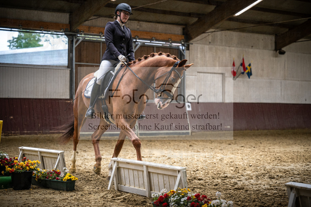 DOS_3093 | Reitturnier Lüdinghausen - Realisiert mit Pictrs.com