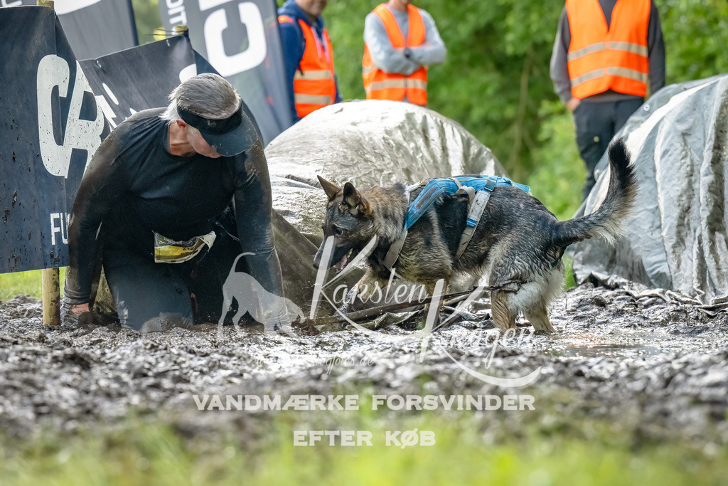 1111_ZZ93475-Bearbeitet | kk-dogfotos