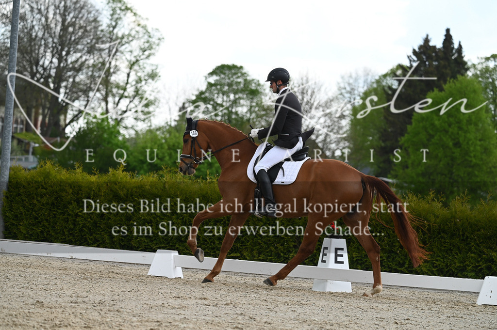 20230512_JK-Röhrsdorf-03-035 | Pferde- und Turnierfotografie in Westsachsen. Pferdeportraits, Auftragszeichnungen und intuitive Kunst.