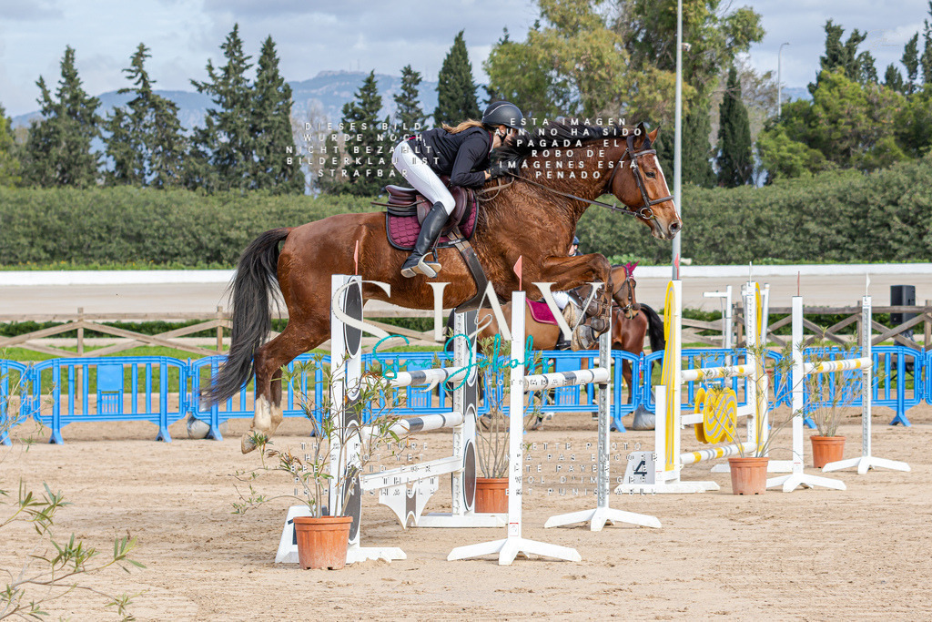 IMG_2499 | s-jay-photography - Realisiert mit Pictrs.com