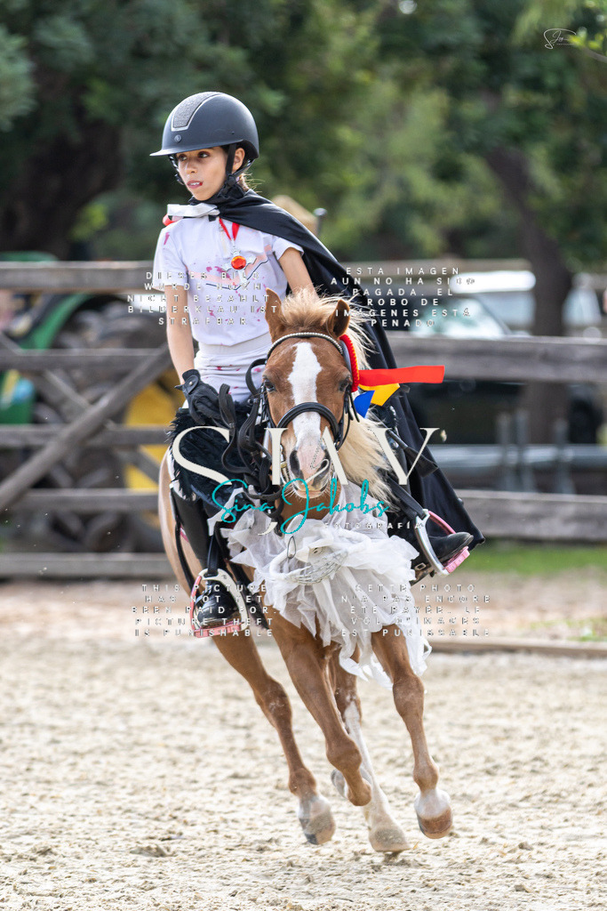 IMG_2422 | s-jay-photography - Realisiert mit Pictrs.com