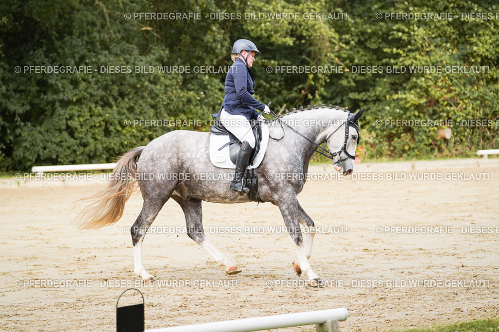 DSC01688 | Pferdegrafie