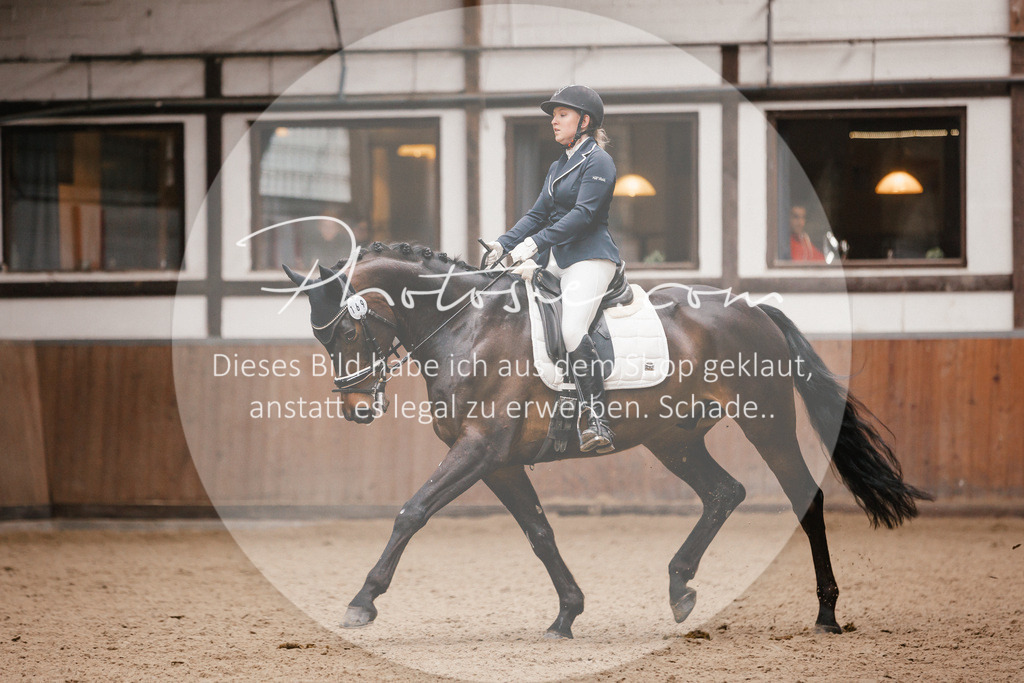 3I6A7511 | Stimmungsvolle Portraits und Reitsportfotografie im Ruhrgebiet und im Münsterland.

Pferdefotografie, Hundefotografie, Tierfotografie, Reportagen, Portraits von Tier und Mensch, Turnierfotografie in Bochum, Recklinghausen, Marl, Haltern am See, Dülmen.. - Realisiert mit Pictrs.com